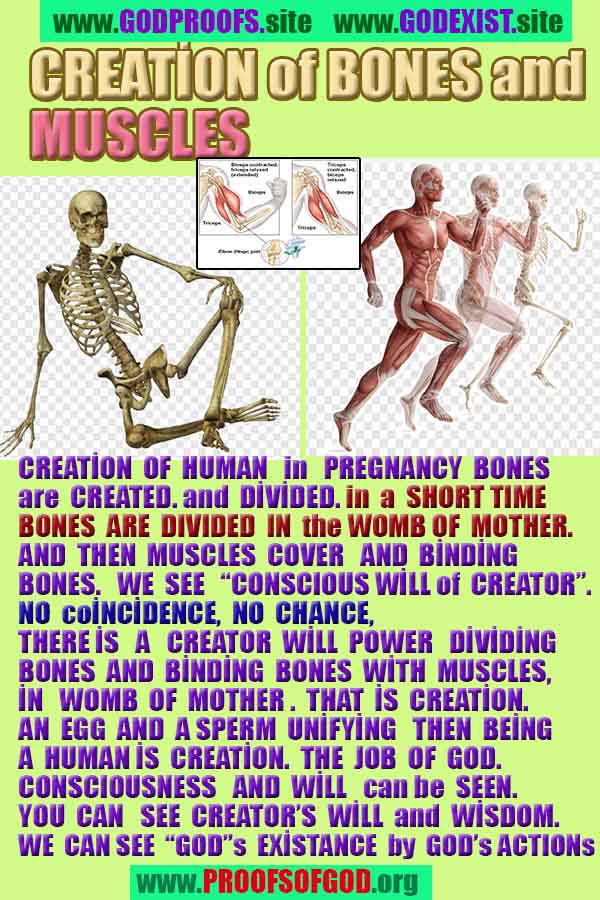 proofs of god, evidences of god, signs of god, god-proofs, proofs-god