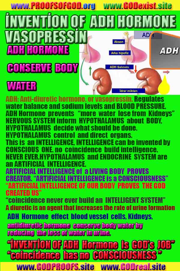 proofs of god, evidences of god, signs of god, god-proofs, proofs-god